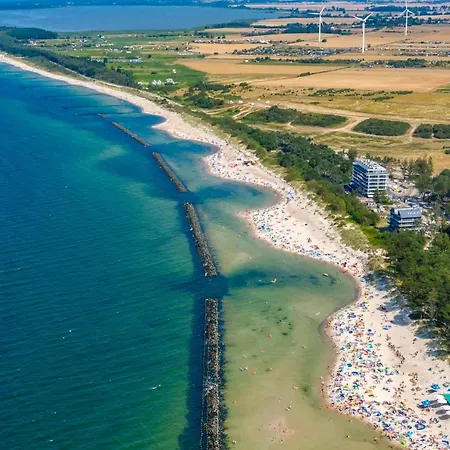 Natural Baltic Darlozko *