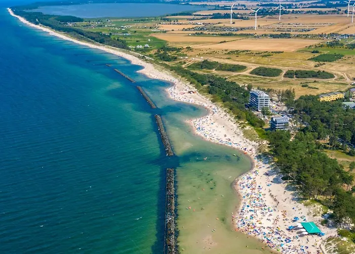 Natural Baltic Darlozko *